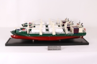 customized model of 193米杂货船